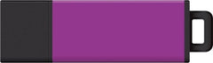 Curry College 32GB DataStick Pro2 USB 3.0 Flash Drive