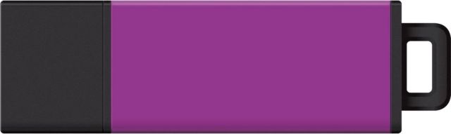 Curry College 32GB DataStick Pro2 USB 3.0 Flash Drive